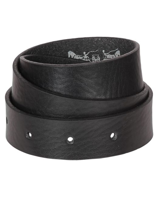 Levi's Black Levis Larkspur Belt