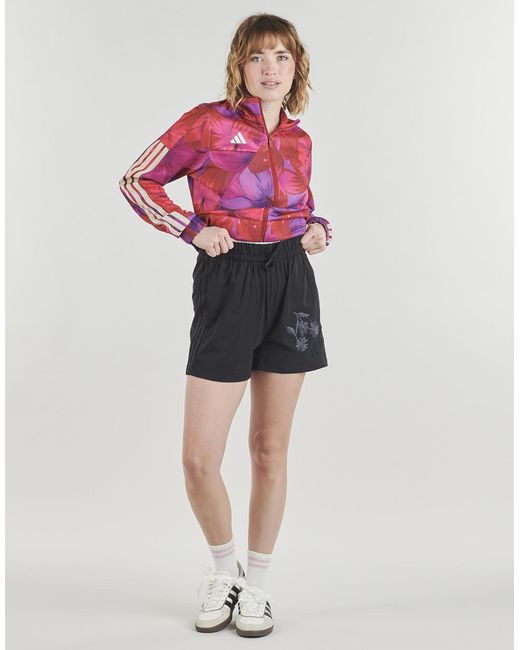 Adidas Black Shorts Essentials 3-stripes Cotton Shorts