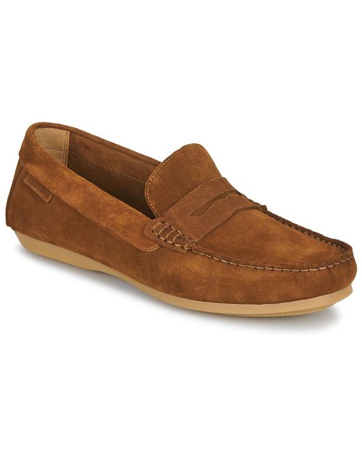 Carlington Brown Loafers / Casual Shoes Ermyl for men