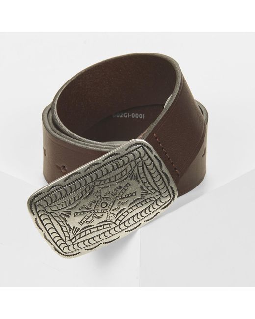 Levi's Brown Belt Western Plaque Belt for men