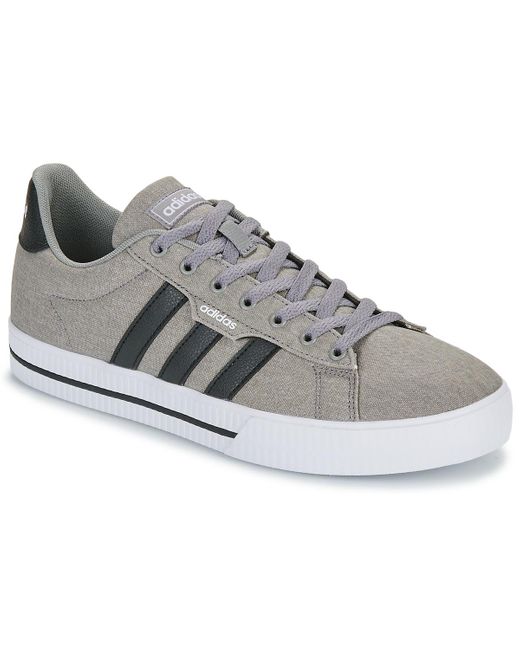 Adidas Gray Shoes (trainers) Daily 3.0 for men