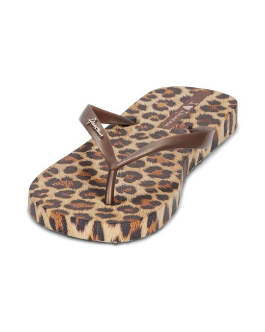 Ipanema Brown Flip Flops / Sandals (shoes) Animal Print Vii Fem