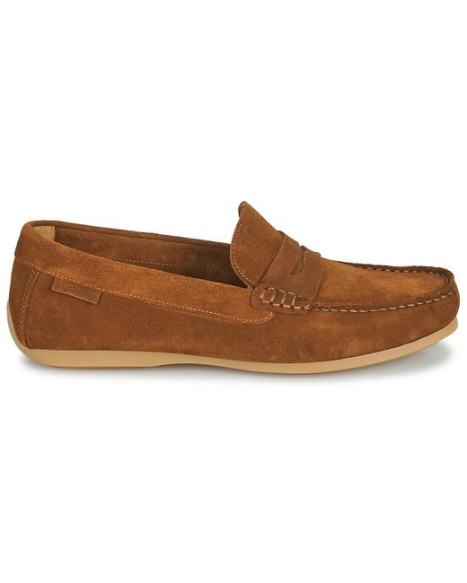 Carlington Brown Loafers / Casual Shoes Ermyl for men