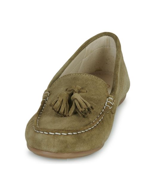 Casual Attitude Green Loafers / Casual Shoes Gatoe