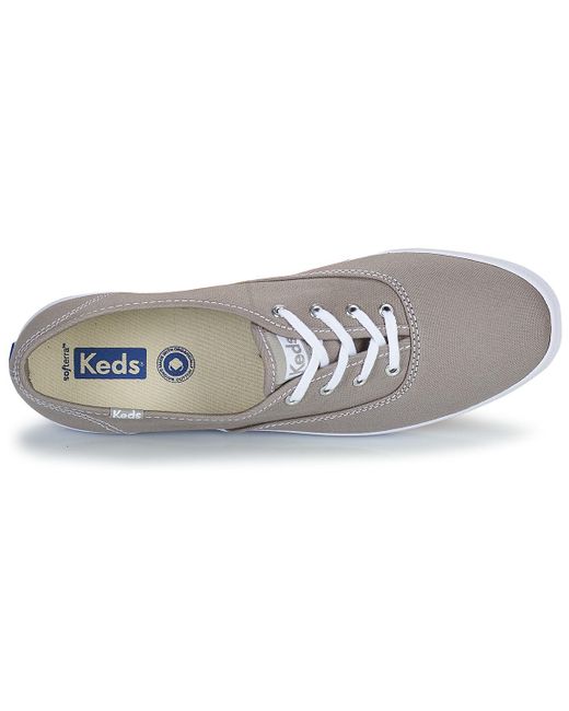 champion keds