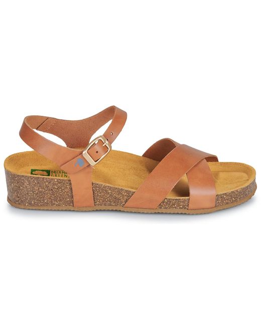 Dream in Green Brown Wedge Sandals Tsilia