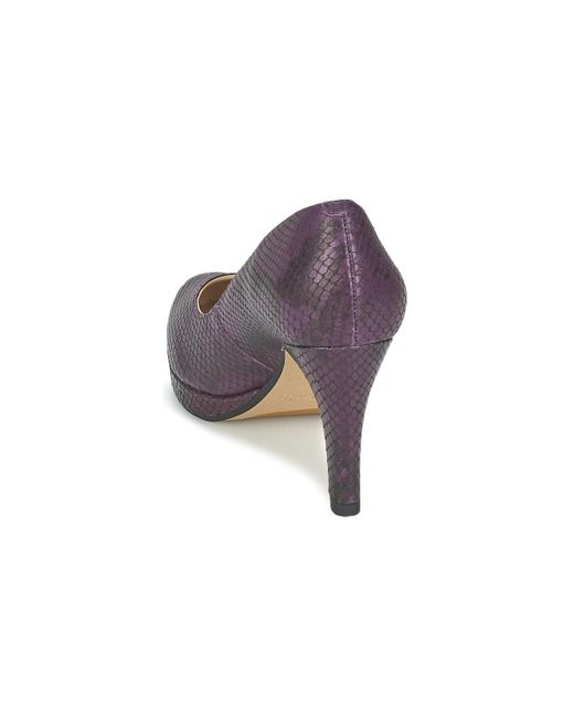 crisp kendra clarks