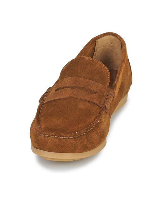 Carlington Brown Loafers / Casual Shoes Ermyl for men