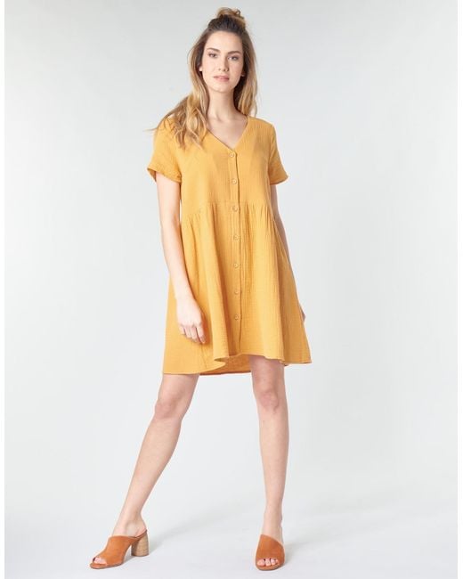 Betty London Yellow Mardi Dress