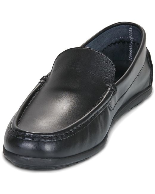 Carlington Blue Loafers / Casual Shoes Driver for men
