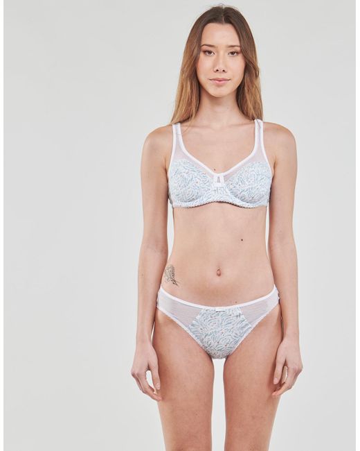Dim Blue Underwire Bras Generous Coton Bio