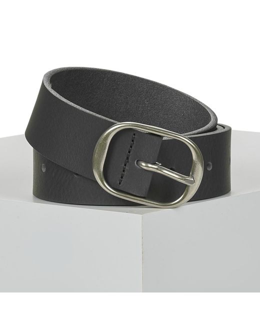 Levi's Black Belt Madison