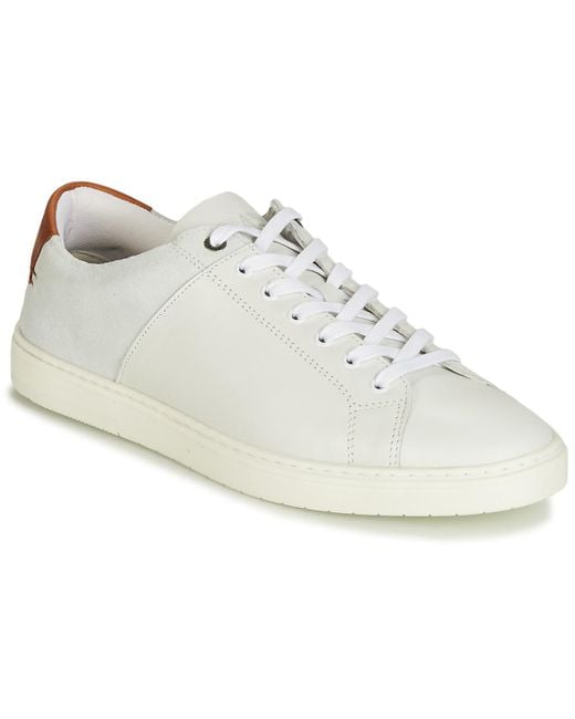 barbour white trainers