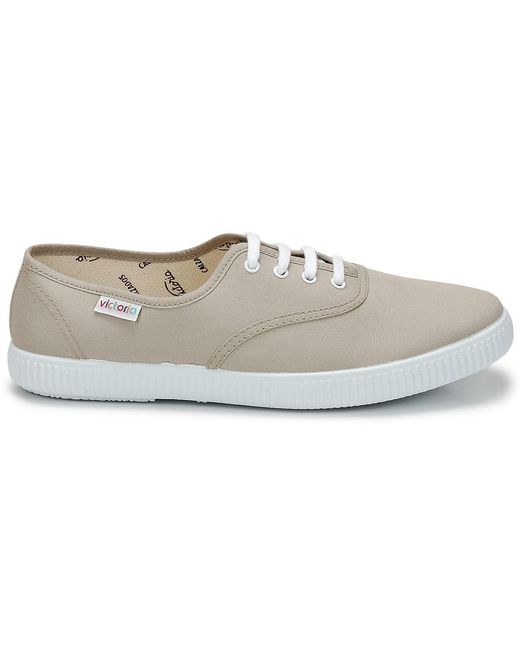 Victoria Gray 6613 Shoes (trainers) for men