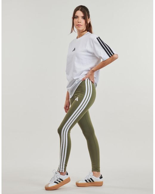 Adidas Green Tights Jc5574