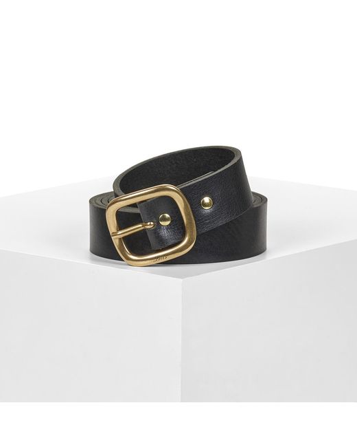 Levi's Black Belt Cameron Long Length