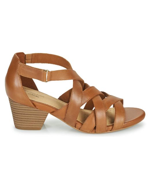 clarks lorene pop