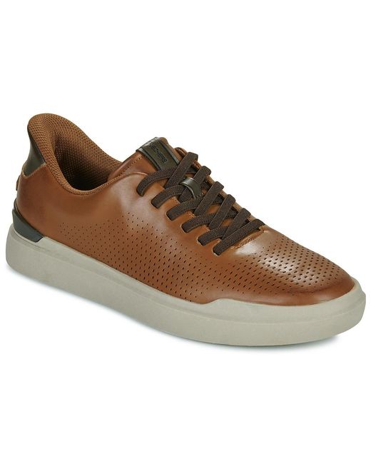 Skechers Brown Slip-ons (shoes) Owen Connell Slip-ins for men