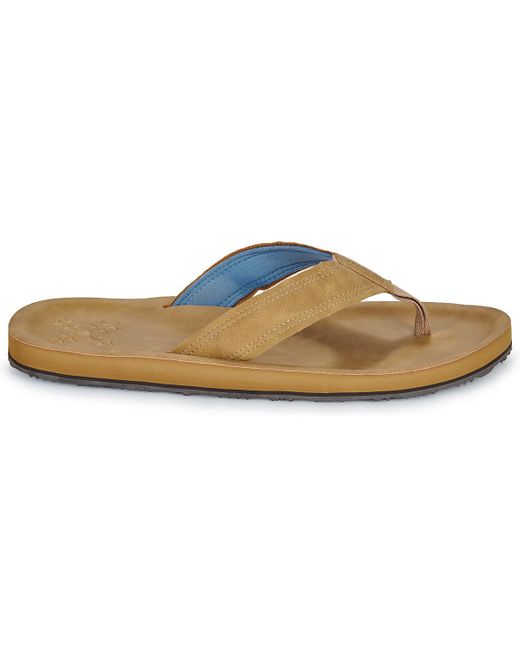 Oxbow Brown Flip Flops / Sandals (shoes) Visko for men