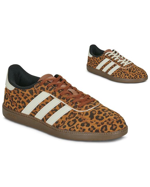 Adidas Brown Shoes (trainers) Breaknet Sleek