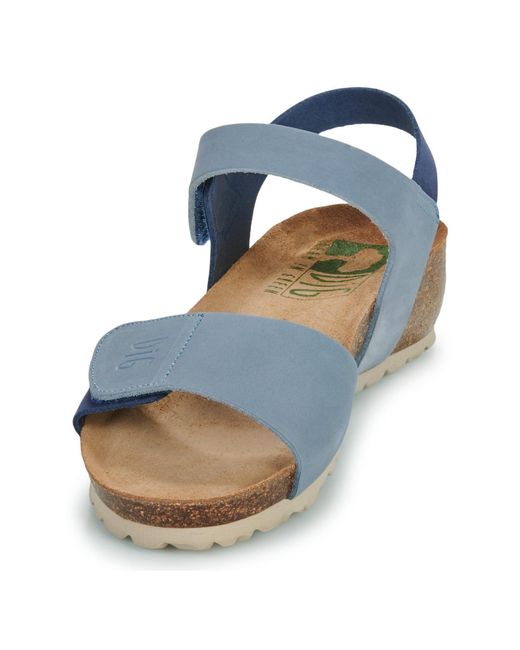 Dream in Green Blue Wedge Sandals Zamini