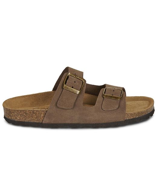 Casual Attitude Brown Mules / Casual Shoes Miloa