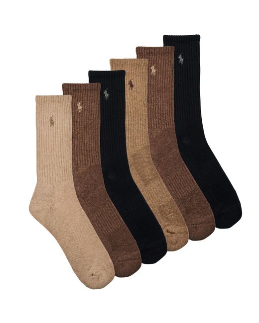 Polo Ralph Lauren Brown Socks Casual Crew-ankle-3 Pack for men