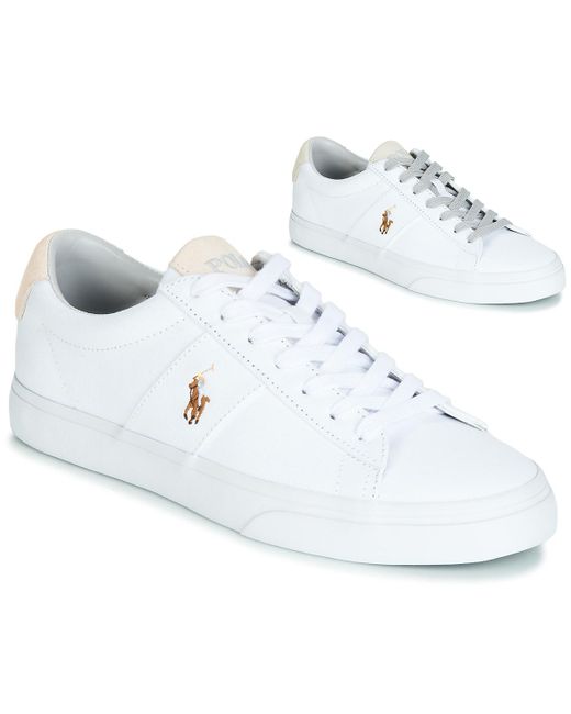 polo sayer trainers