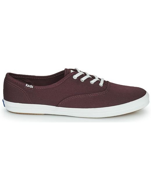 Keds Multicolor Shoes (trainers)