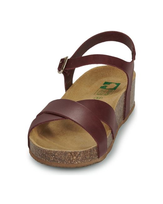 Dream in Green Brown Wedge Sandals Tsilia