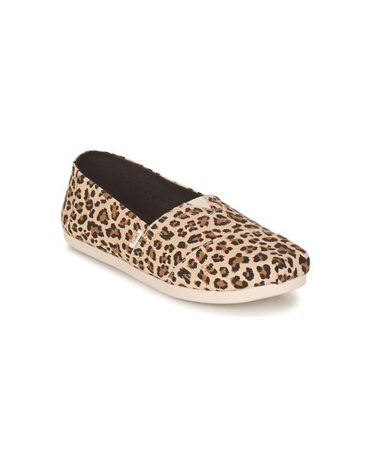TOMS Brown Alpargata Espadrilles / Casual Shoes