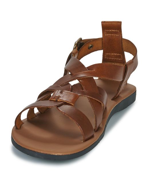 Dream in Green Brown Sandals Queselle