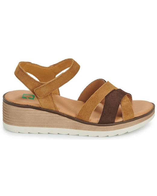 Dream in Green Brown Wedge Sandals Lisa