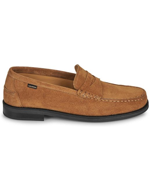 Carlington Brown Loafers / Casual Shoes Will for men
