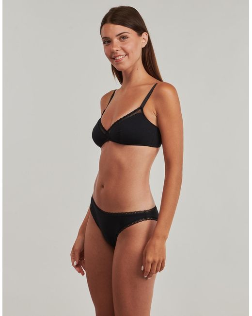 Passionata Black Triangle Bras And Bralettes Charlotte Triangle Bra