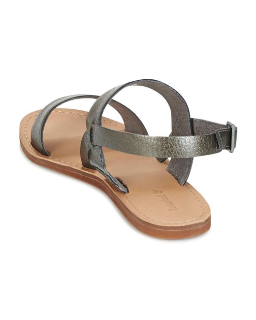 timberland carolista