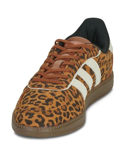 Adidas Brown Shoes (trainers) Breaknet Sleek