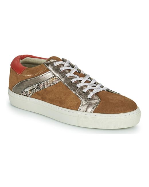 Betty London Gray Shoes (trainers) Pitinette