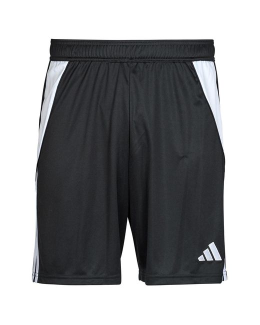Adidas Gray Shorts Tiro 24 Shorts for men