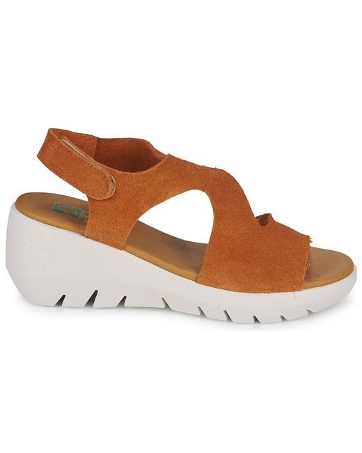 Dream in Green Brown Wedge Sandals Olene