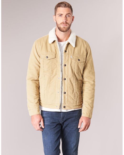 levi's type 3 sherpa trucker jacket chino cord