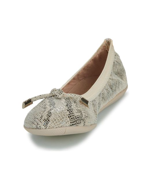 Les Petites Bombes Gray Shoes (pumps / Ballerinas) Ava