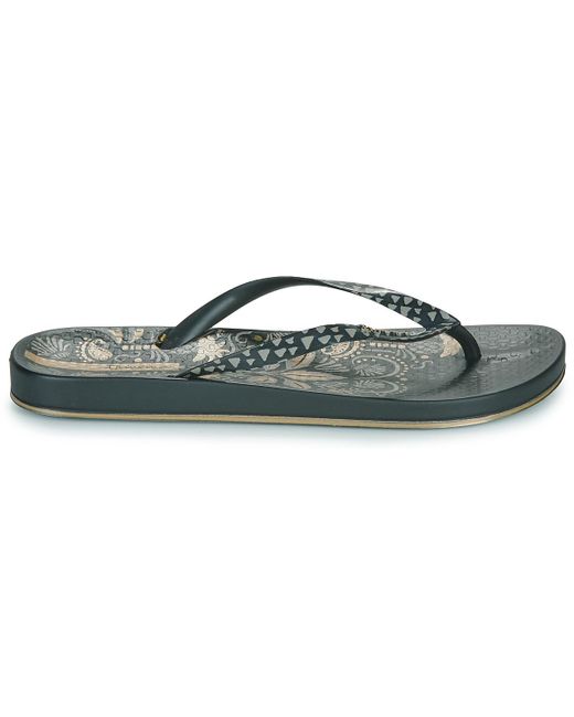 Ipanema Gray Flip Flops / Sandals (shoes) Anat Nature Viii Fem