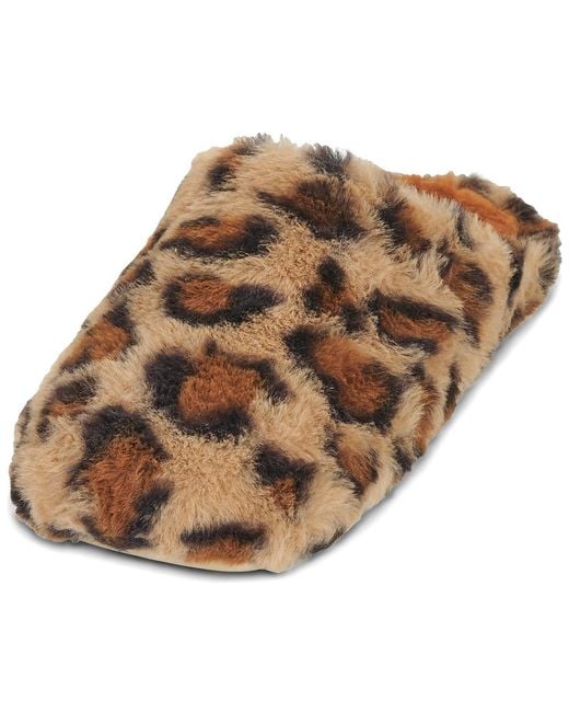 Victoria Brown Flip Flops Norte Animal Print
