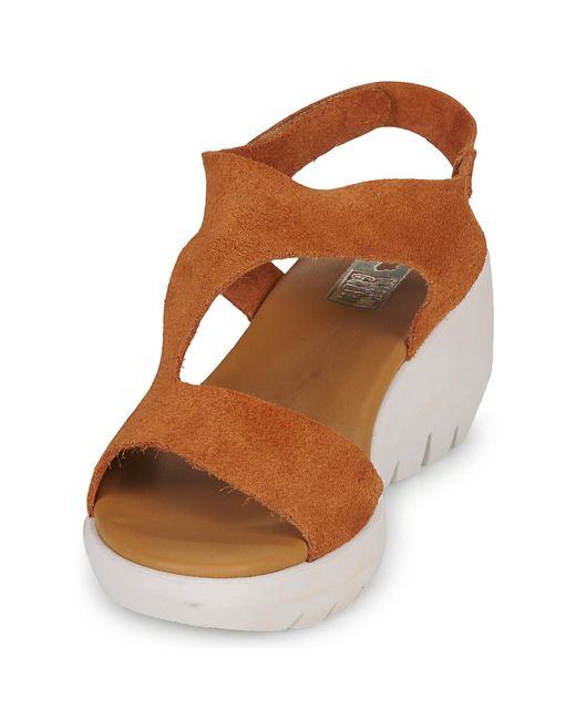 Dream in Green Brown Wedge Sandals Olene