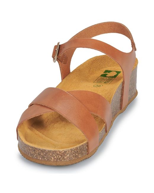 Dream in Green Brown Wedge Sandals Tsilia