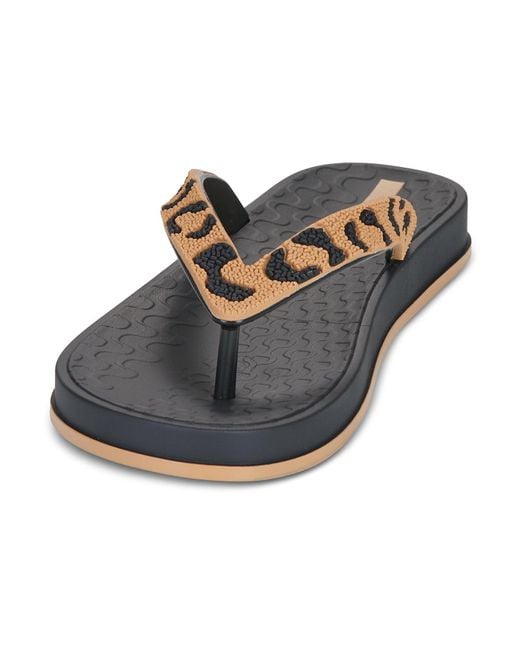 Ipanema Blue Flip Flops / Sandals (shoes) Festa Fem