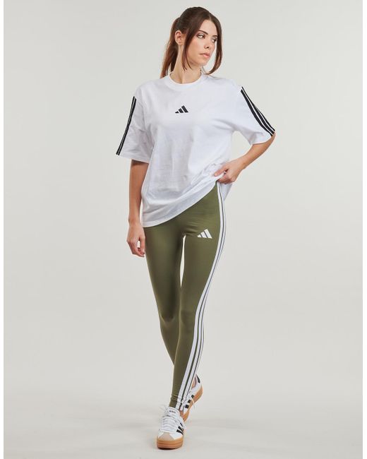 Adidas Green Tights Jc5574