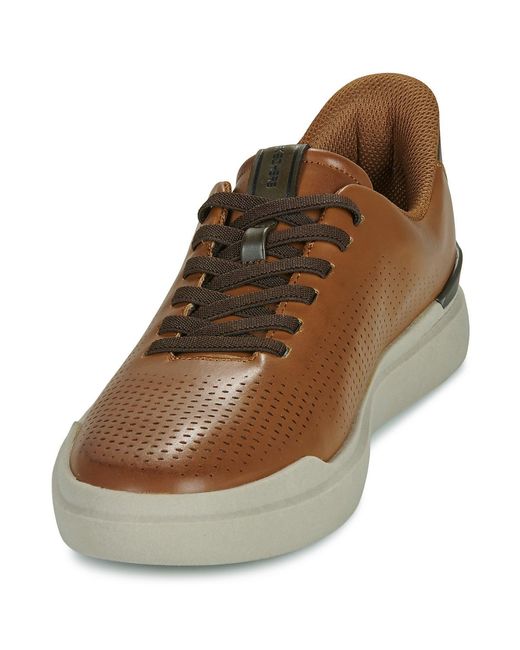 Skechers Brown Slip-ons (shoes) Owen Connell Slip-ins for men