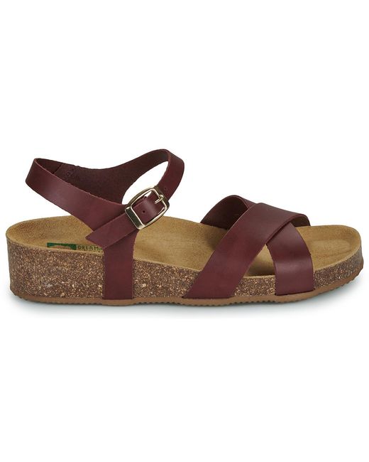 Dream in Green Brown Wedge Sandals Tsilia